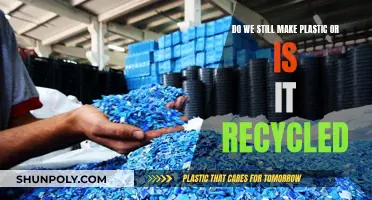 The Plastic Cycle: From Creation to Reuse