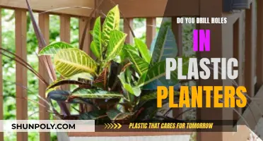 Should You Drill Holes in Plastic Planters?
