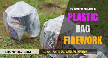 Drifting Like a Plastic Bag, Exploding Like a Firework: Finding Brilliance in the Ordinary