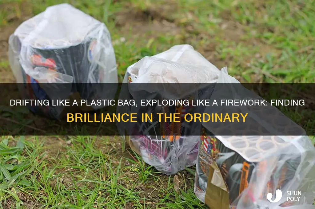 do you ever feel like a plastic bag firework