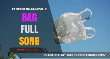 Drifting Like a Plastic Bag: Unpacking Katy Perry's 'Firework' Lyrics
