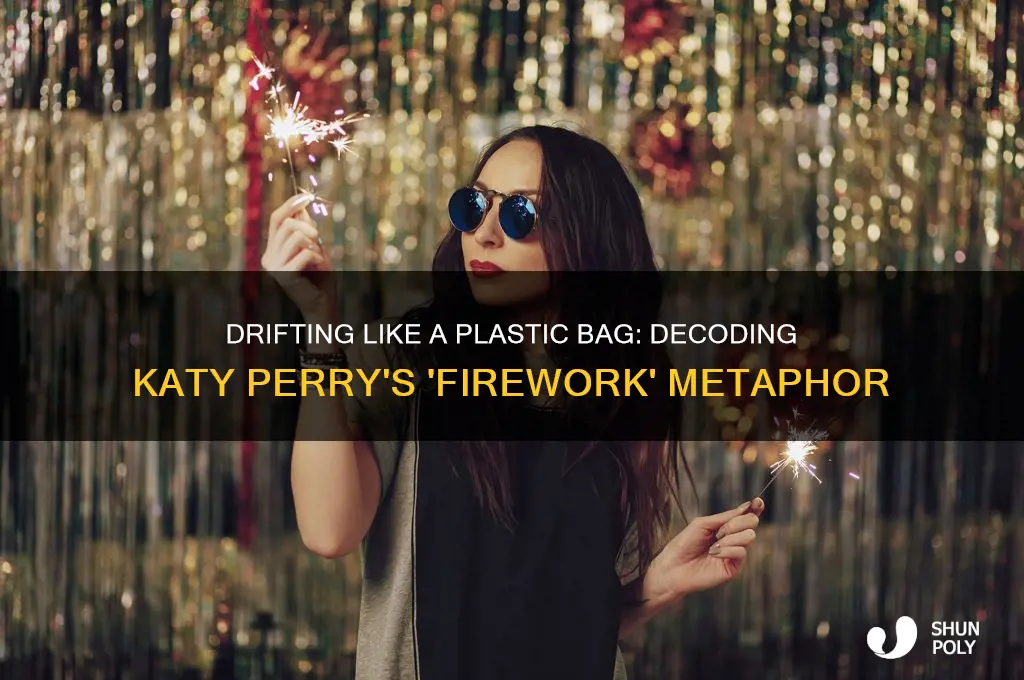 do you ever feel like a plastic bag katy perry