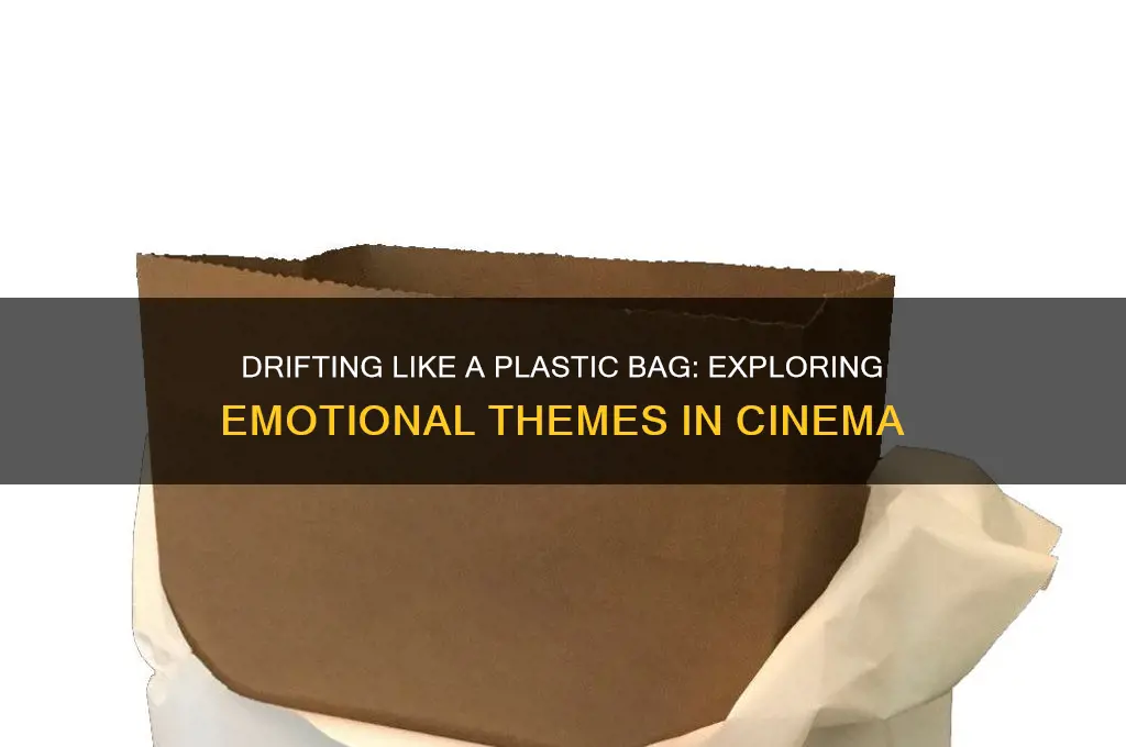 do you ever feel like a plastic bag movie