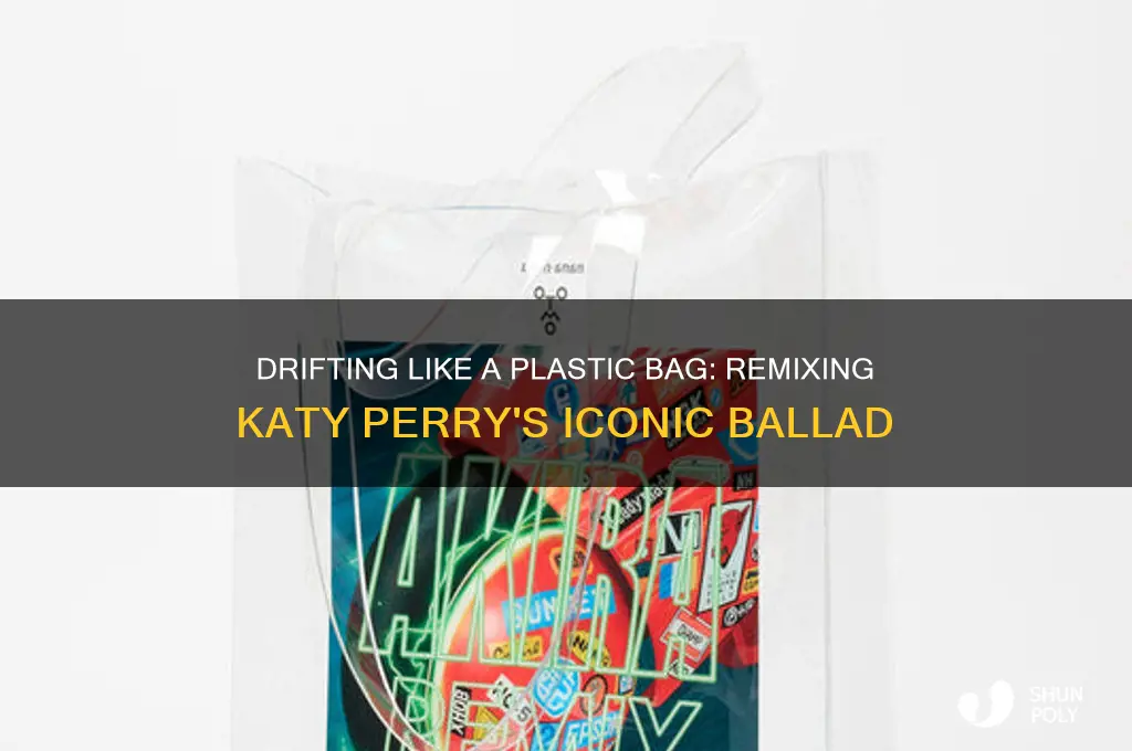 do you ever feel like a plastic bag remix