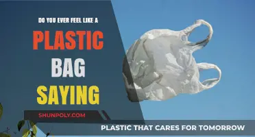 Drifting Through Life: The Plastic Bag Metaphor and Finding Meaning