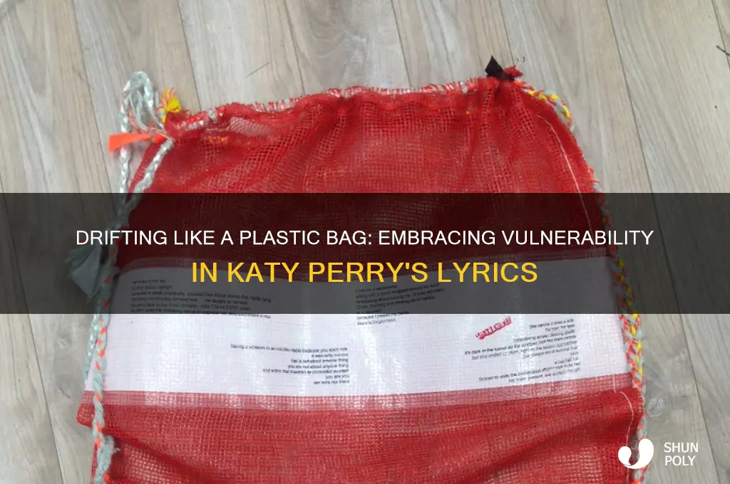 do you ever feel like a plastic bag sung repeatedly