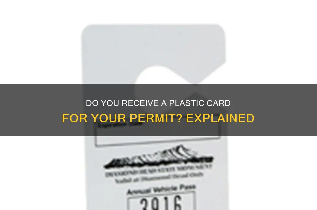 do you get a plastic card for your permit