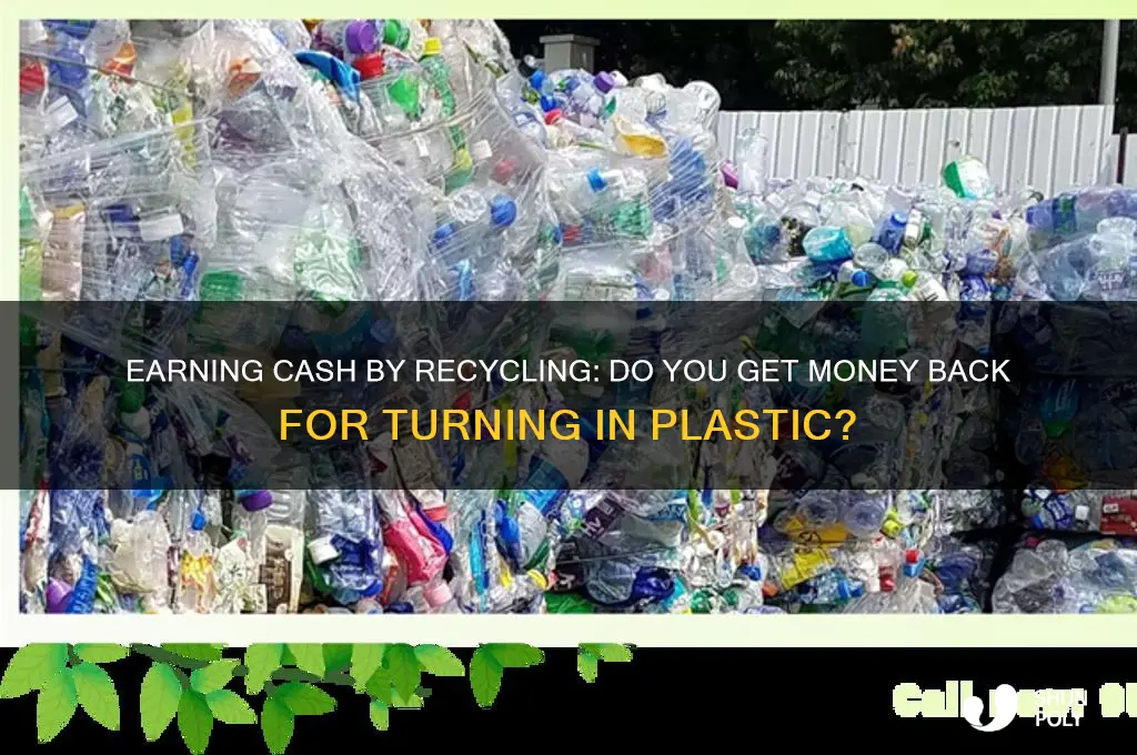 do you get money back for turning in plastic