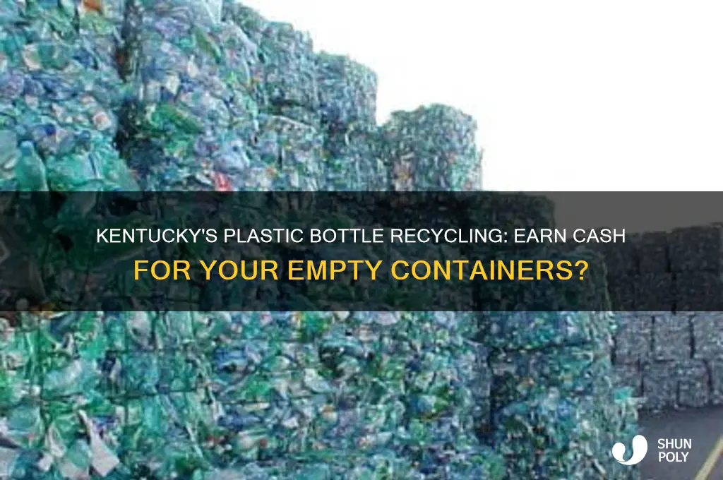 do you get money for recycling plastic bottles in kentucky