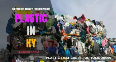 Kentucky's Plastic Recycling Rewards: Can You Earn Cash for Recycling?