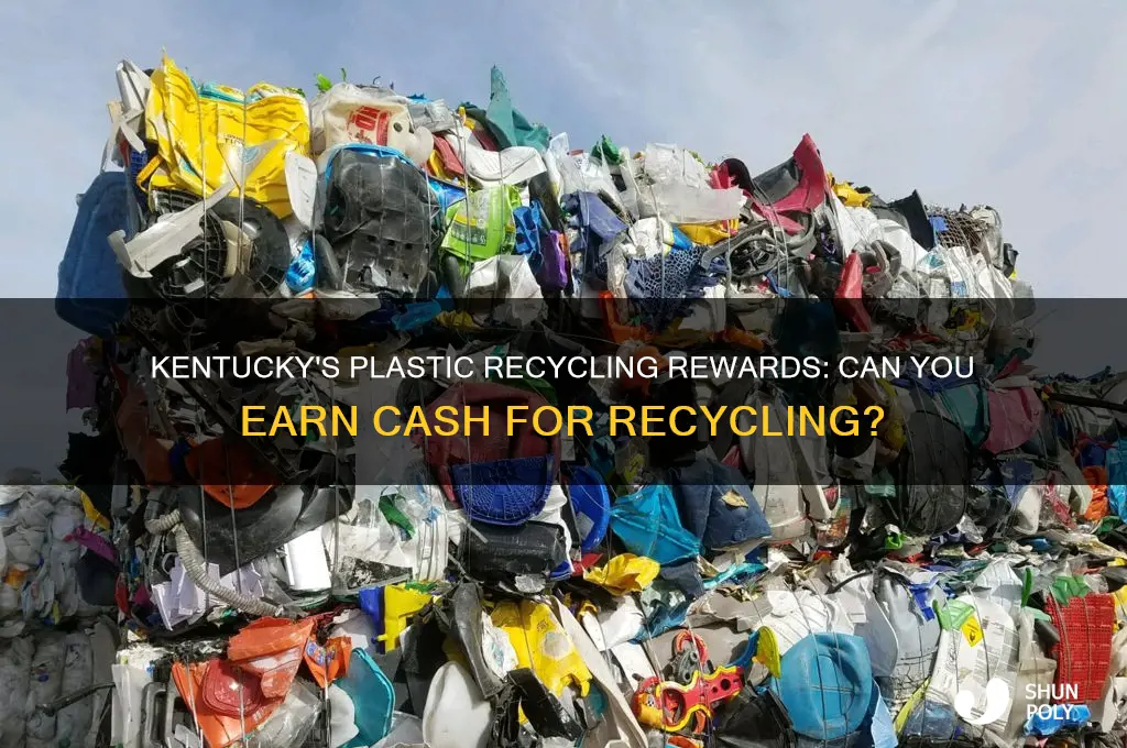 do you get money for recycling plastic in ky