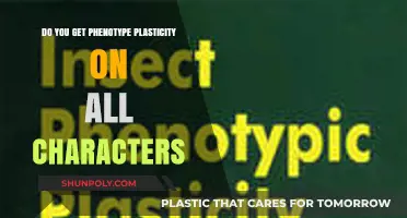 Exploring Phenotypic Plasticity: Does It Affect All Traits Equally?
