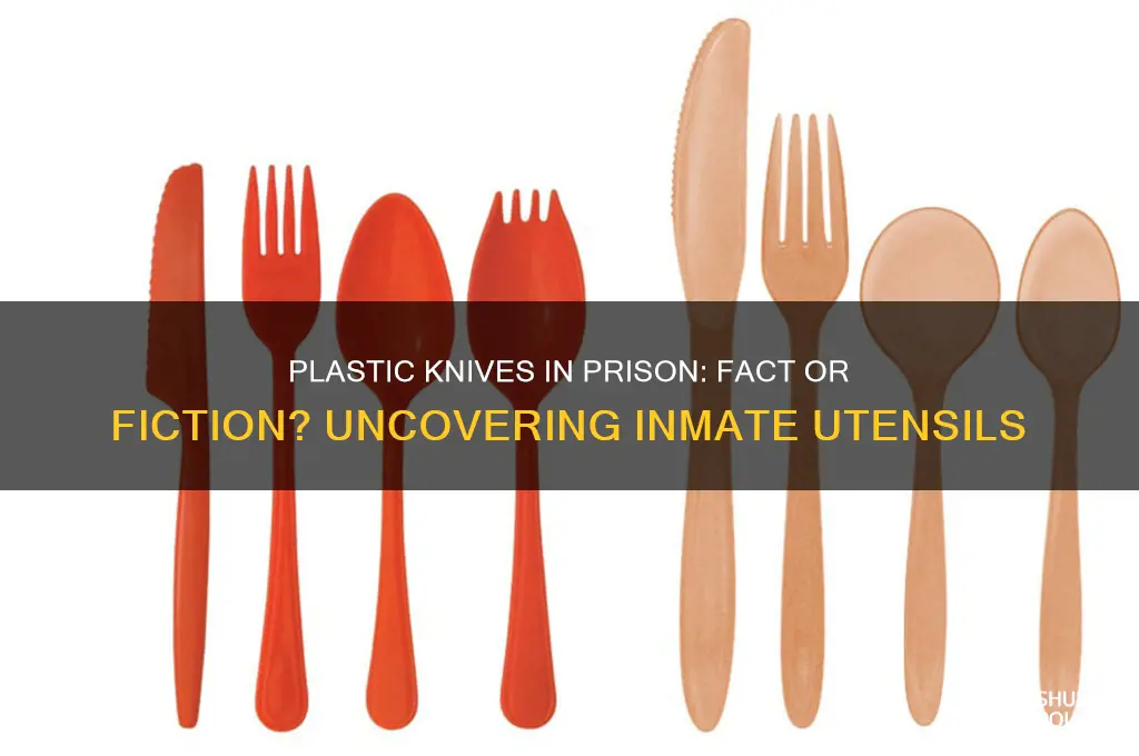 do you get plastic knives in prison