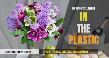 The Plastic Flower Dilemma: To Gift or Not?