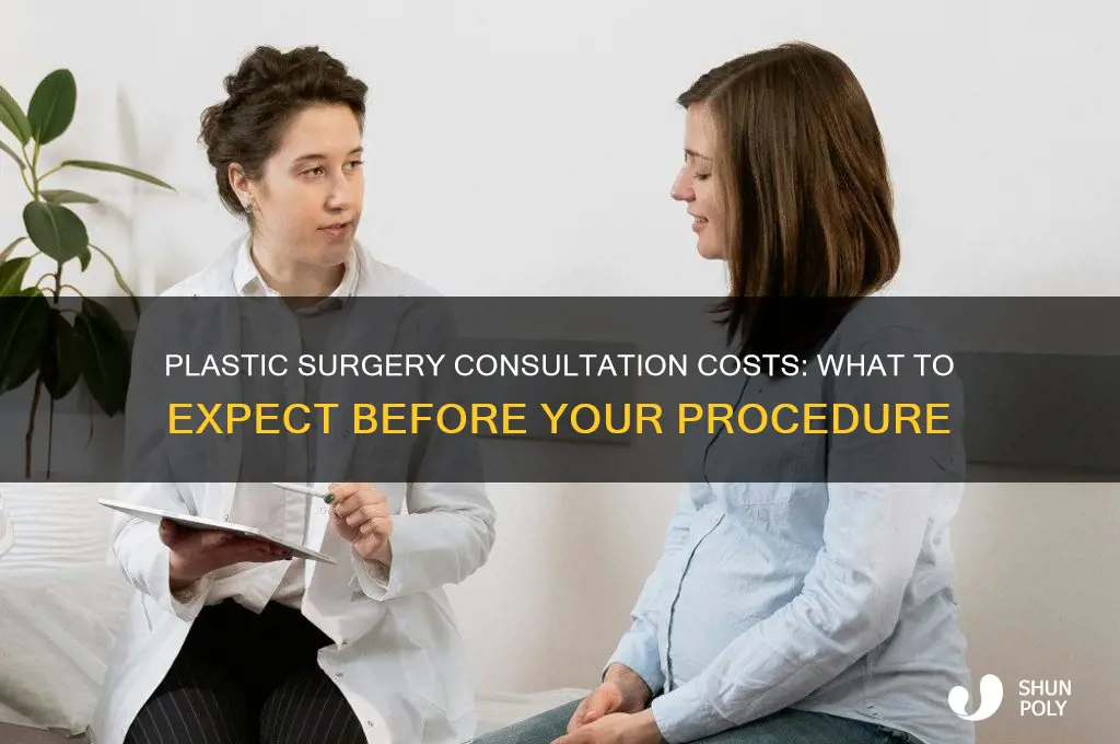 do you have to pay for a plastic surgery consultation