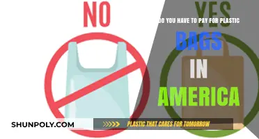Plastic Bag Fees in America: What You Need to Know
