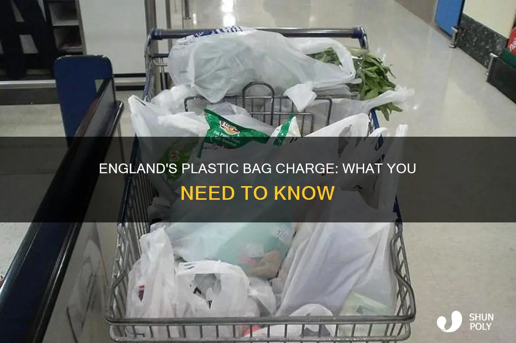 do you have to pay for plastic bags in england