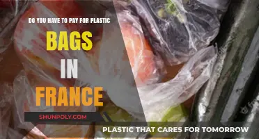 France's Plastic Bag Policy: Are They Free or Fee-Based?