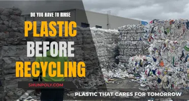 Rinsing Plastic Before Recycling: Necessary or Not?