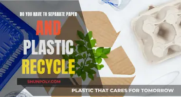 Recycling Confusion: Sorting Paper and Plastic, Demystified