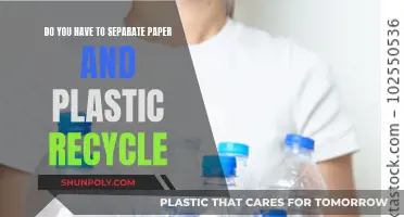 Effective Recycling: Separating Paper and Plastic for Beginners