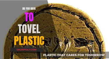 The Modern Kashrut Conundrum: Plastic and Tevilah