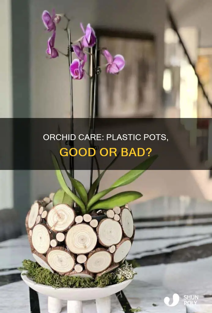 do you keep orchid in plastic pot