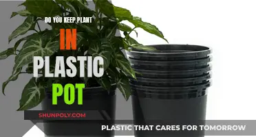 Plastic Pots: Good or Bad for Your Plants?