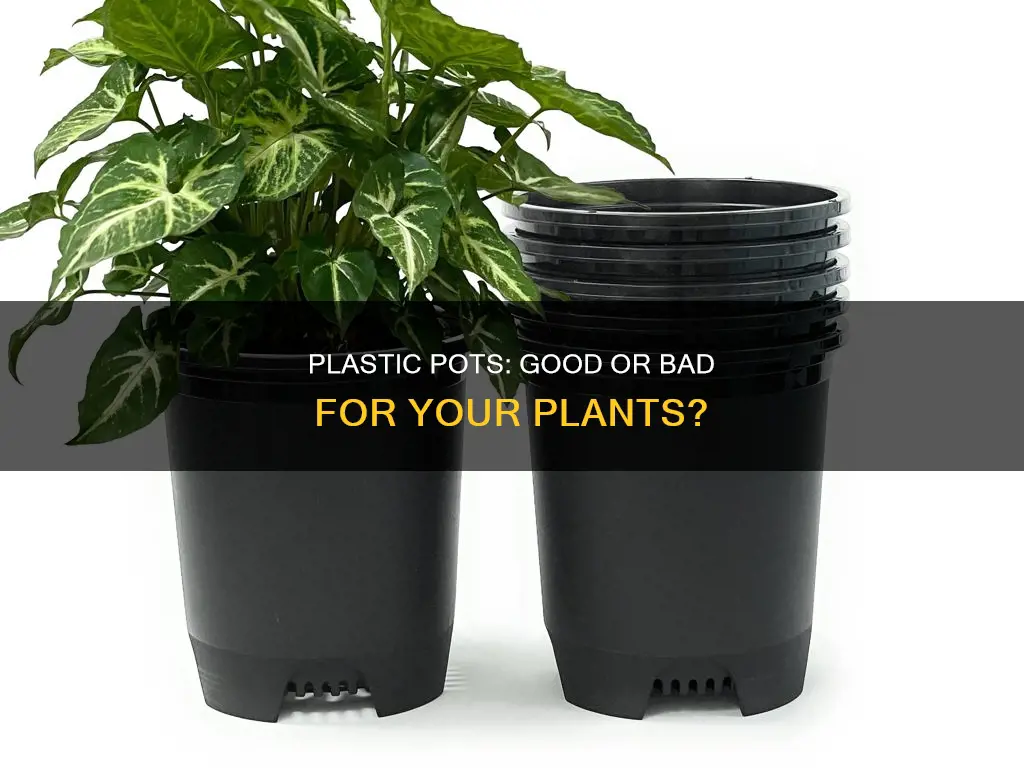 do you keep plant in plastic pot