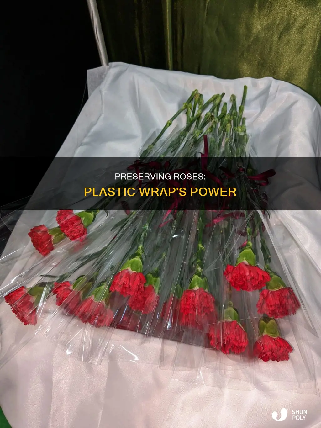 do you keep roses in the plastic