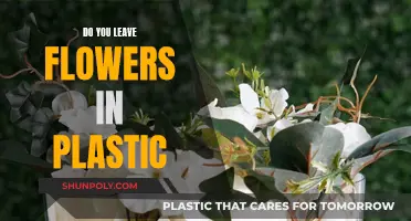 Flowers and Plastic: Friend or Foe?