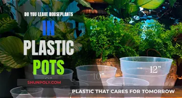 Plastic Pots: Friend or Foe for Houseplants?