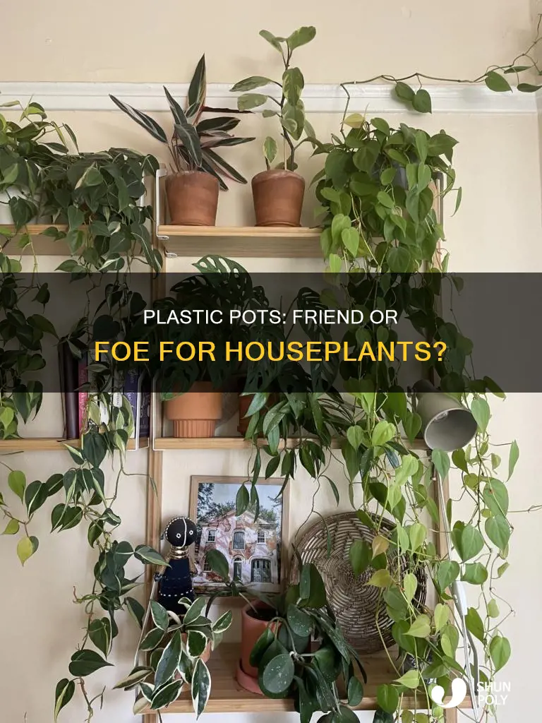 do you leave houseplants in plastic pots