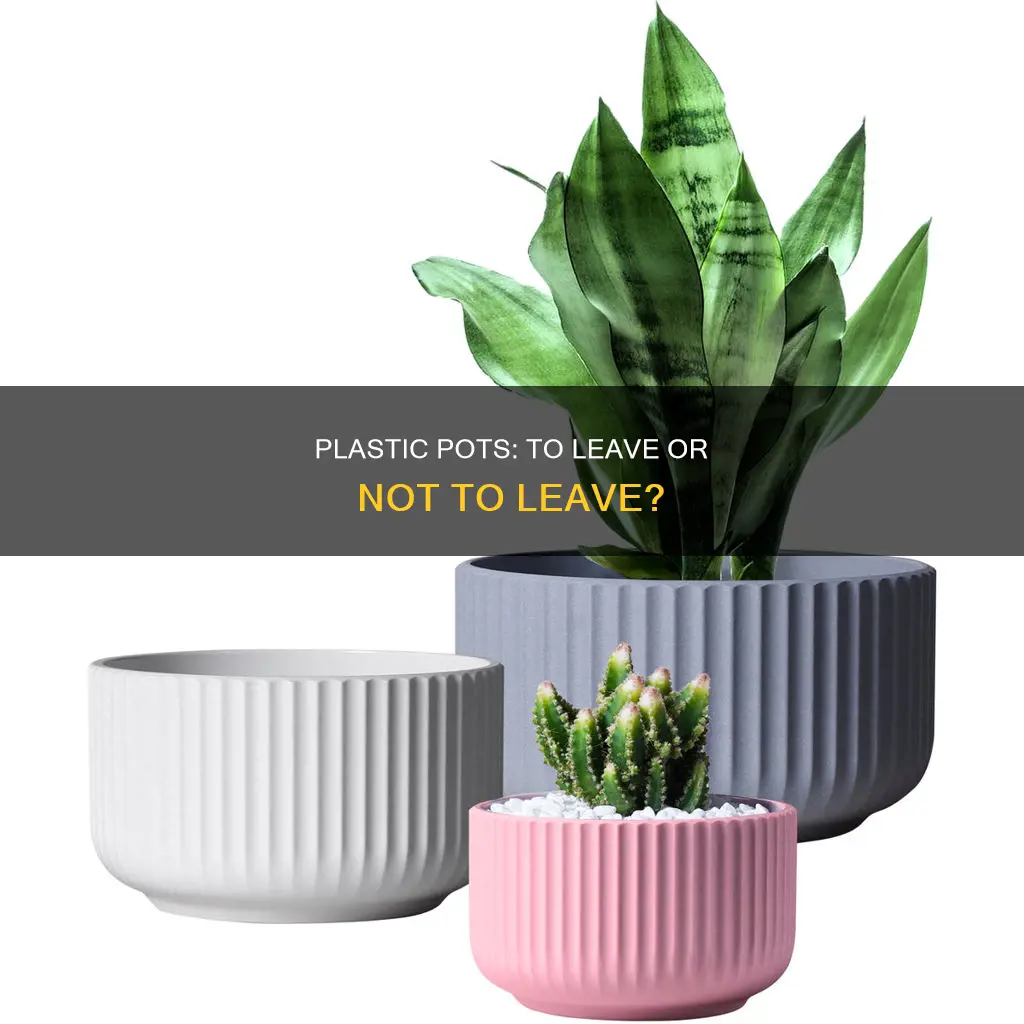 do you leave plants in plastic pots