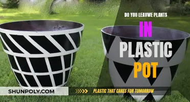 Plastic Pots: Keep or Toss?