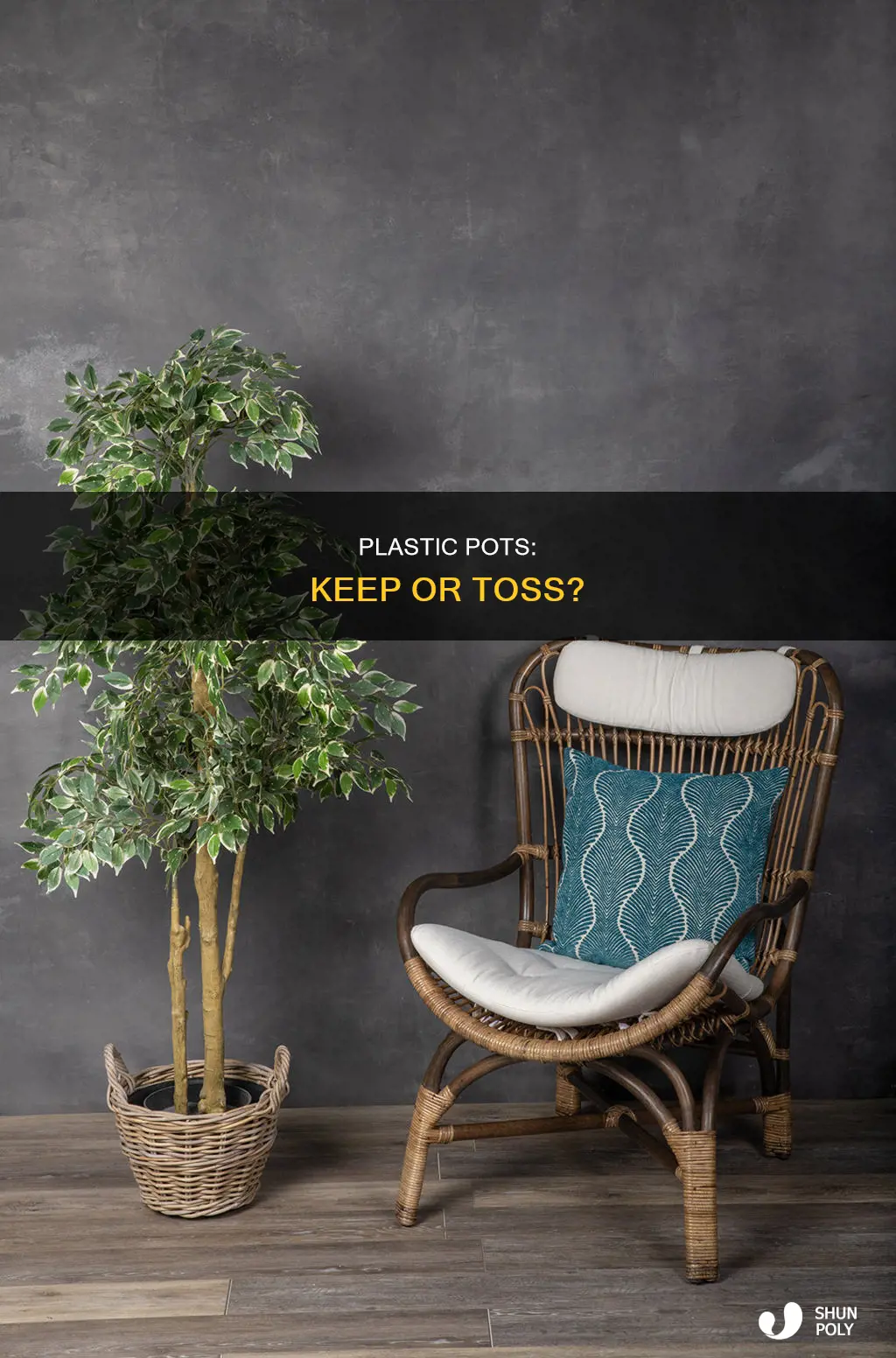 do you leavwe plants in plastic pot