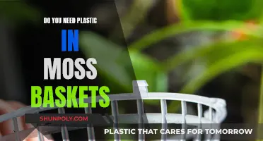 Moss Baskets: Plastic Needed or Natural Wonder?