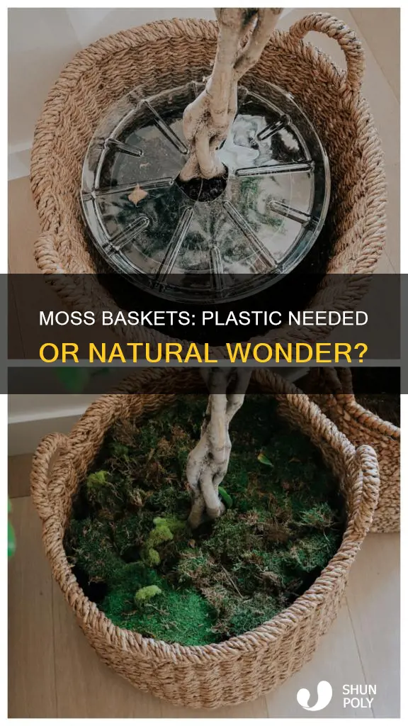 do you need plastic in moss baskets