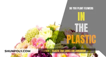 Planting Flowers: Plastic Pots, Pros and Cons