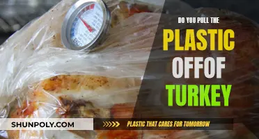 How to Prepare a Turkey: Plastic Removal and More