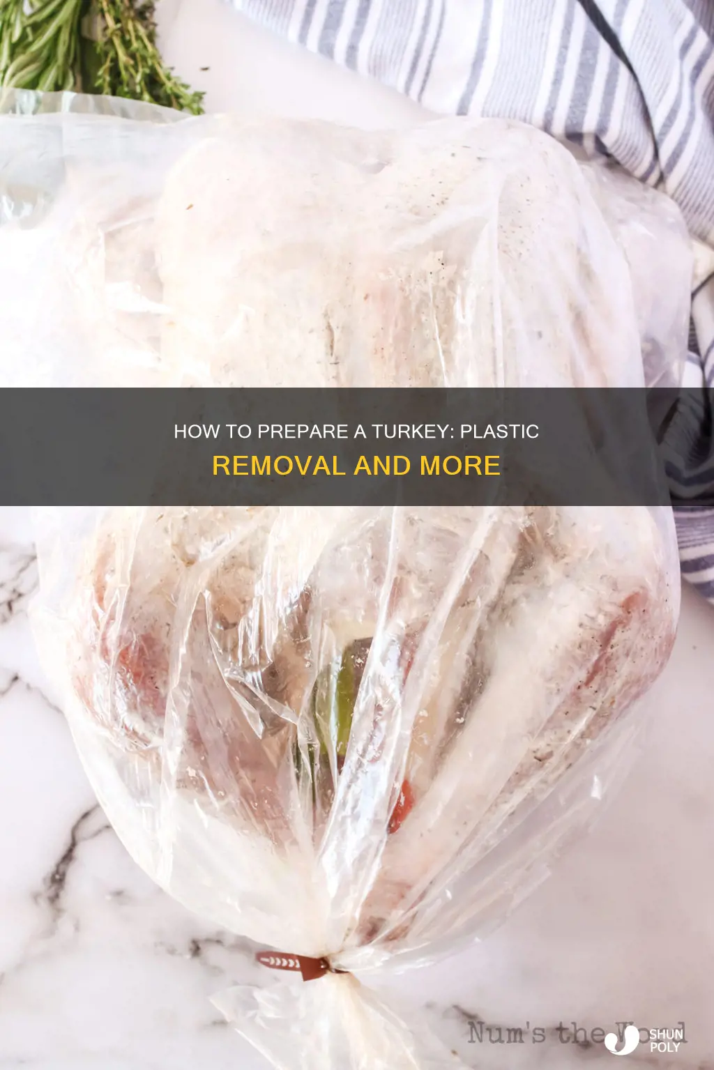 do you pull the plastic offof turkey