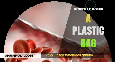 Placenta Storage: Should You Use a Plastic Bag? Expert Tips