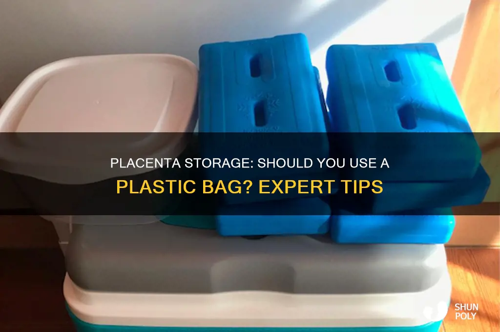 do you put a placenta in a plastic bag