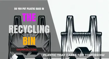 Can Plastic Bags Go in Recycling Bins? Eco-Friendly Disposal Tips