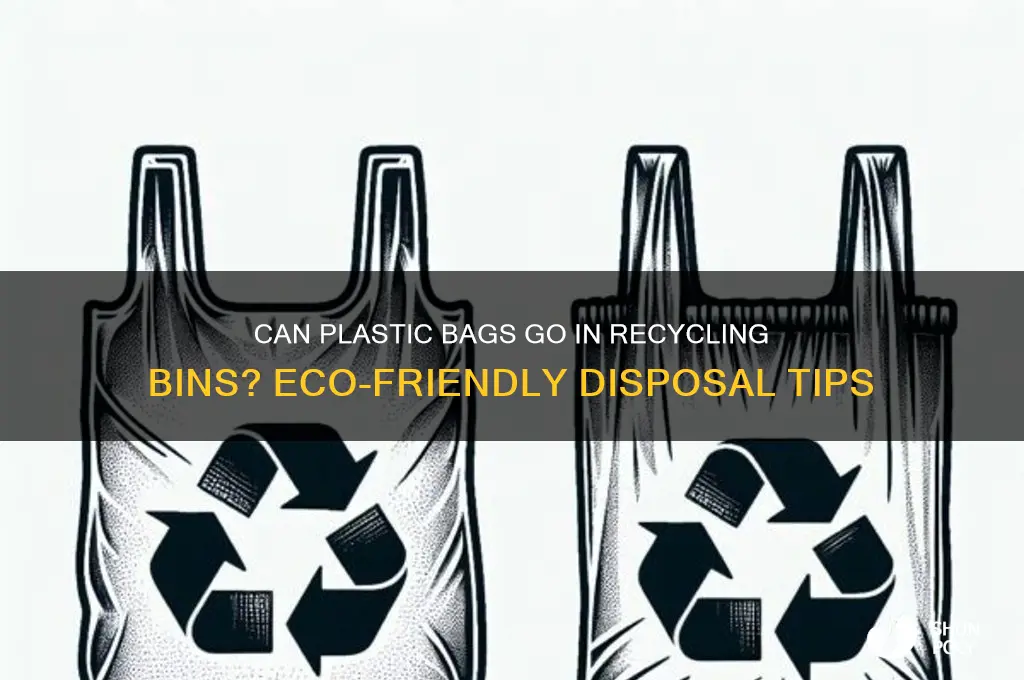 do you put plastic bags in the recycling bin