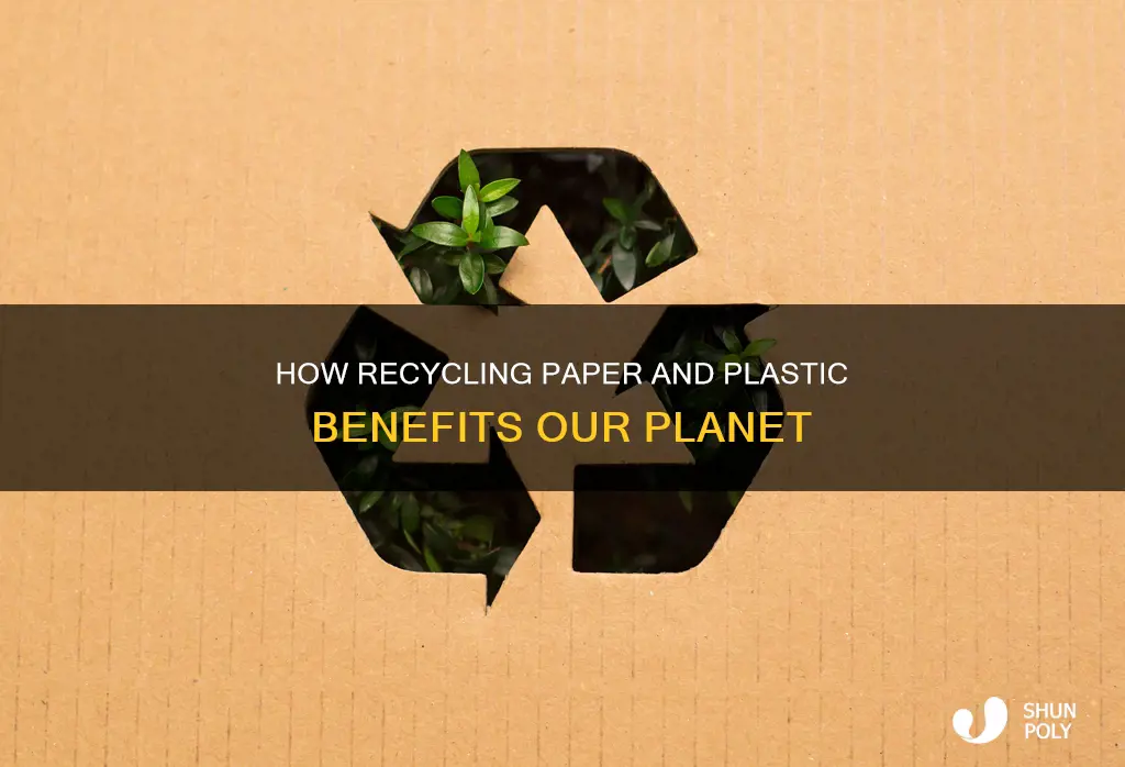 do you recycle paper and plastic