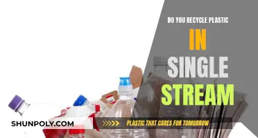 Single-Stream Recycling: Unraveling the Plastic Mystery