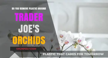 Should You Remove the Plastic Wrap Around Trader Joe's Orchids?