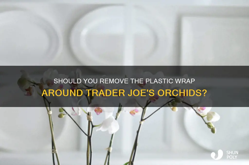 do you remove plastic around trader joe