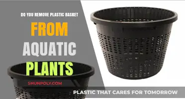 Should You Remove Plastic Baskets from Aquatic Plants? A Guide